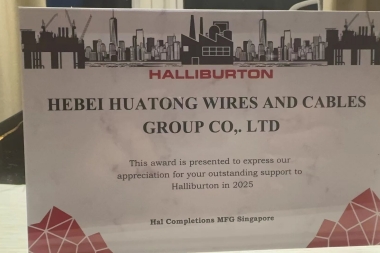 the International Oil Service Giant Supplier Award